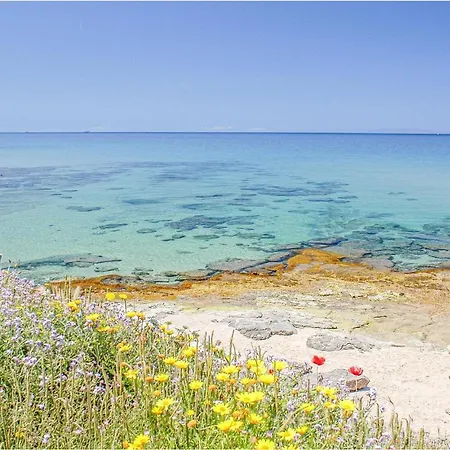 Bilo Sup Isola Rossa